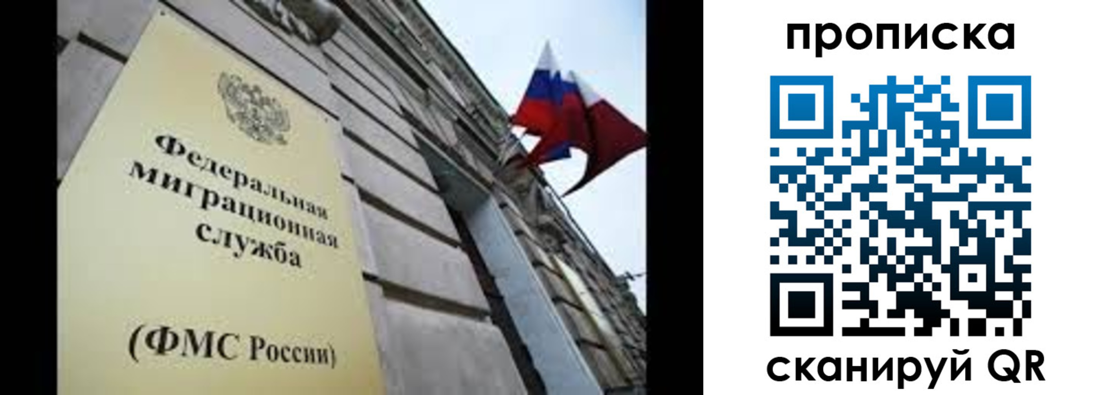 прописка паспорт в Сертолово
